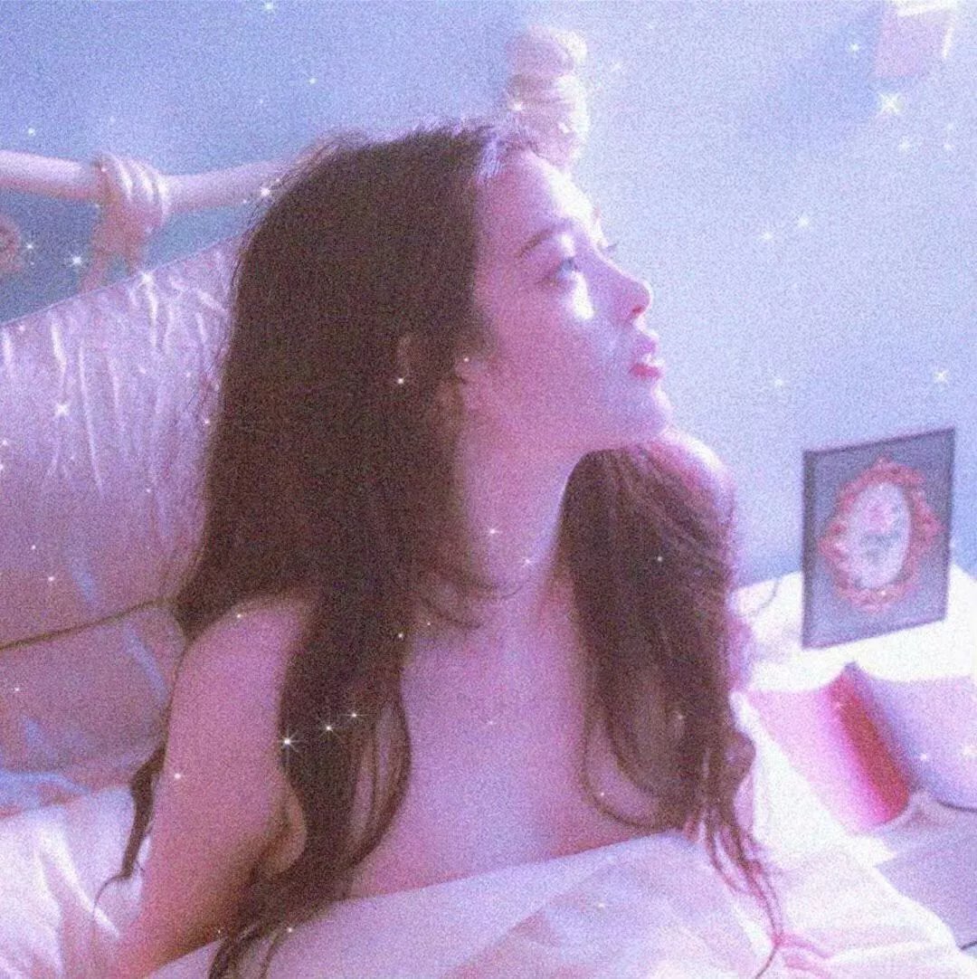 一条狗的使命